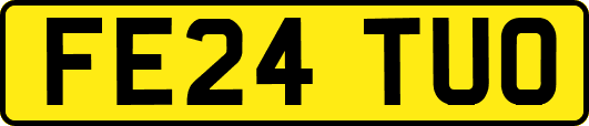 FE24TUO