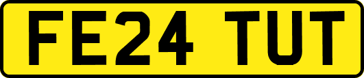 FE24TUT