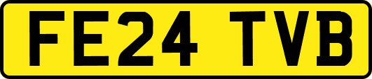 FE24TVB