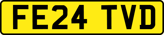 FE24TVD
