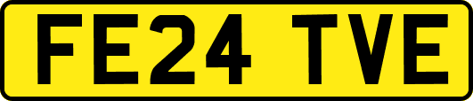FE24TVE