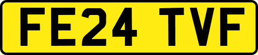 FE24TVF