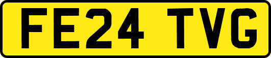 FE24TVG
