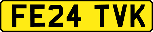 FE24TVK