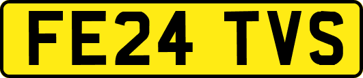 FE24TVS