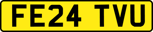 FE24TVU