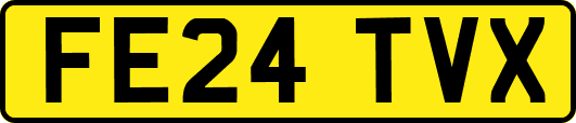 FE24TVX