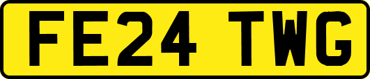 FE24TWG