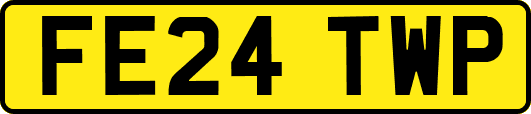 FE24TWP