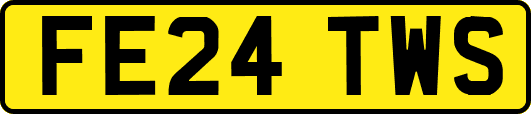 FE24TWS