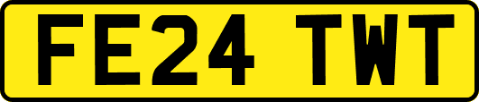 FE24TWT
