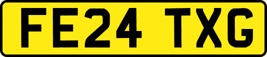 FE24TXG
