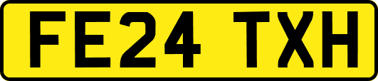 FE24TXH