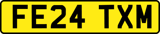 FE24TXM