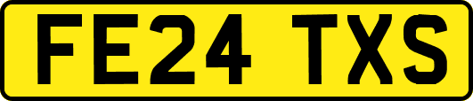 FE24TXS