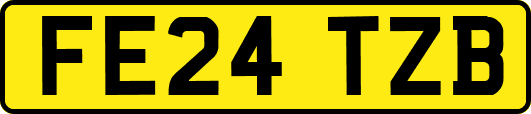 FE24TZB