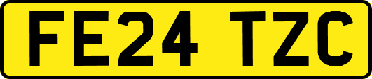 FE24TZC