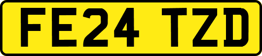 FE24TZD