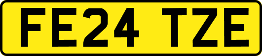 FE24TZE