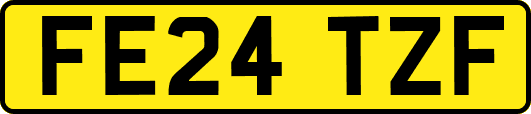 FE24TZF