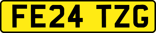 FE24TZG