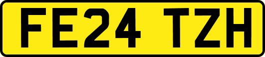 FE24TZH