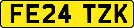 FE24TZK