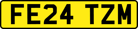 FE24TZM
