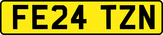 FE24TZN