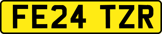 FE24TZR