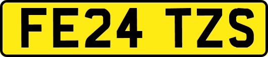 FE24TZS
