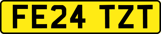 FE24TZT