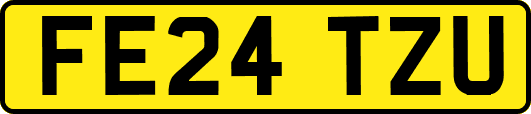 FE24TZU