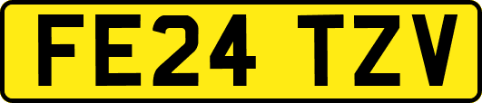 FE24TZV