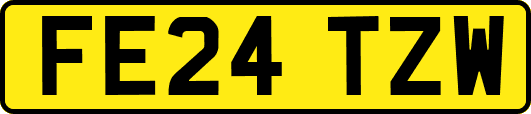 FE24TZW