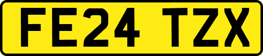 FE24TZX