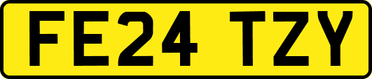 FE24TZY
