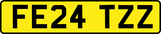 FE24TZZ