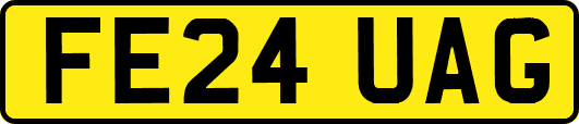 FE24UAG