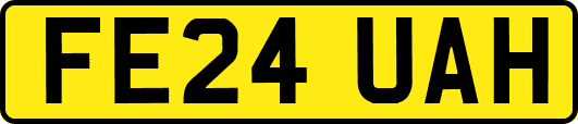 FE24UAH