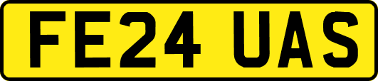 FE24UAS
