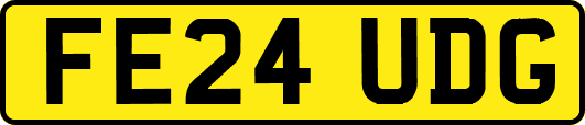 FE24UDG