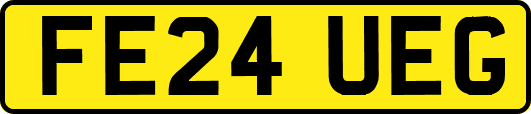 FE24UEG
