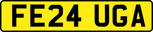 FE24UGA