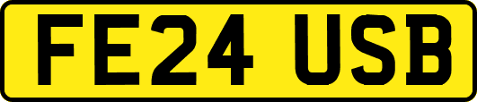 FE24USB