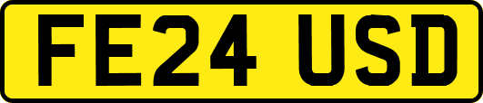 FE24USD