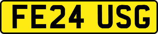 FE24USG