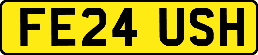 FE24USH
