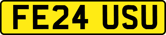 FE24USU