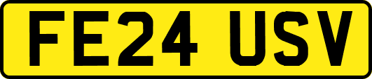 FE24USV